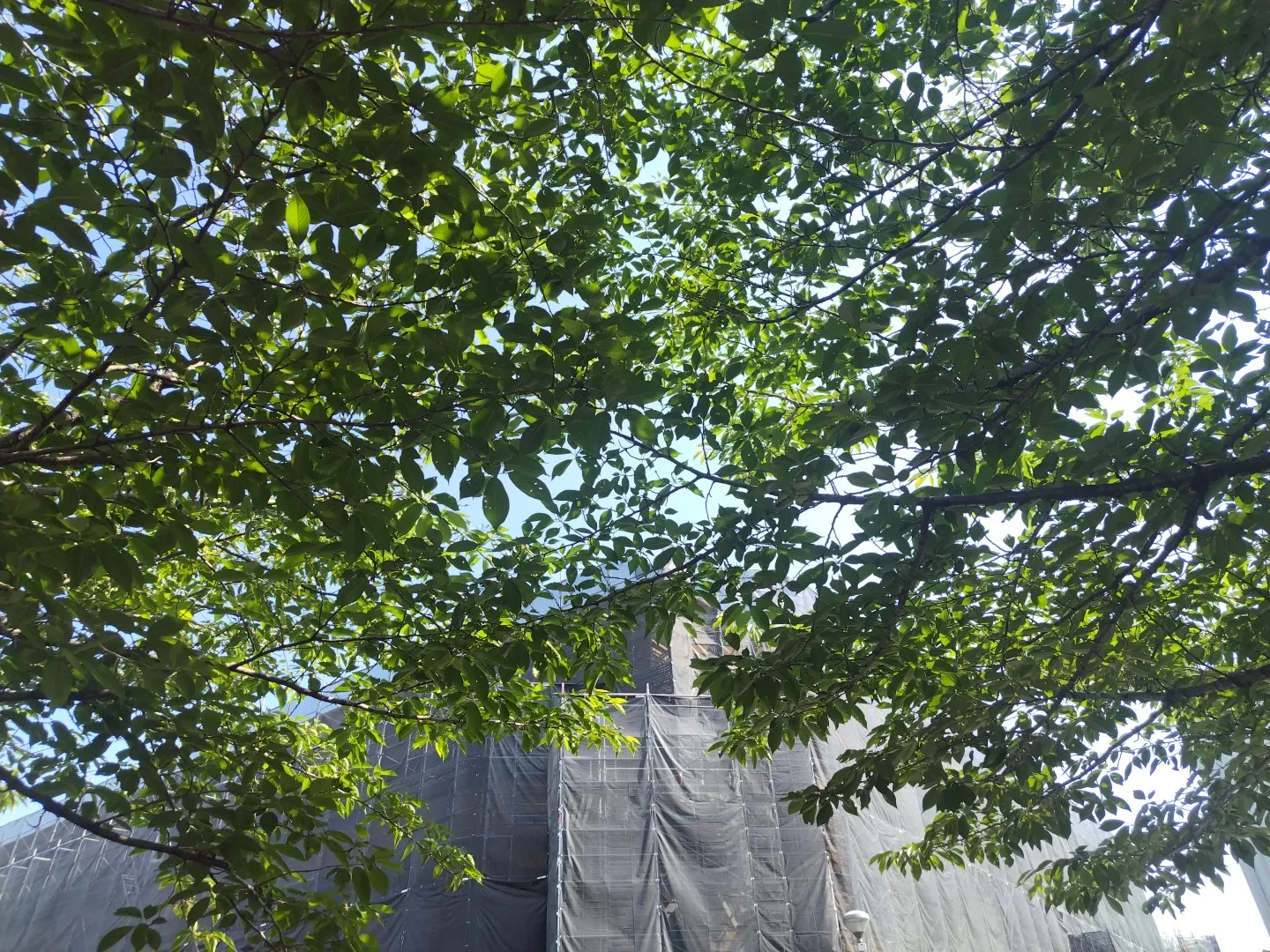 年初から取り組んでいた管理物件の工事がいよいよ終盤に差し掛か...