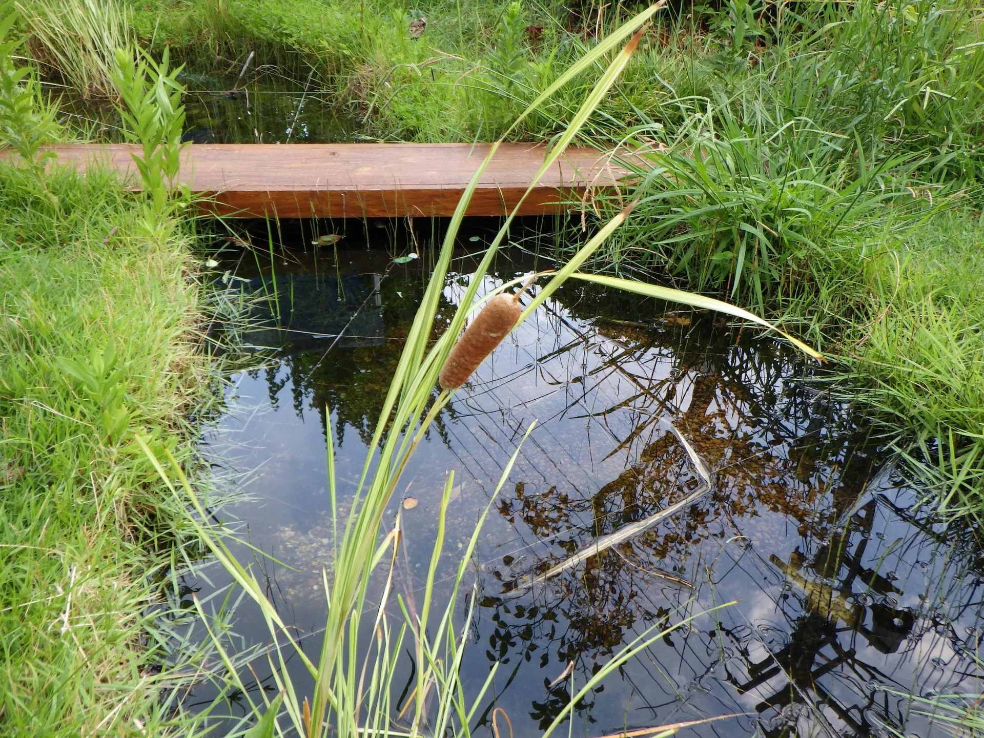 新たなプロジェクトが始まりました！