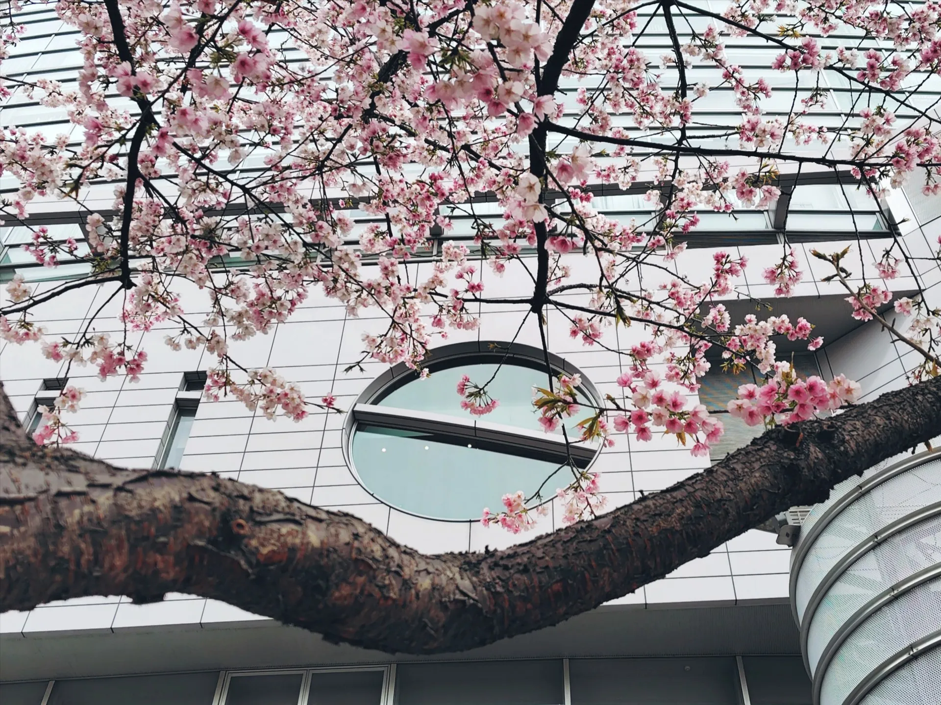 すっかり春の暖かさを感じるようになり、外出が楽しみになってき...